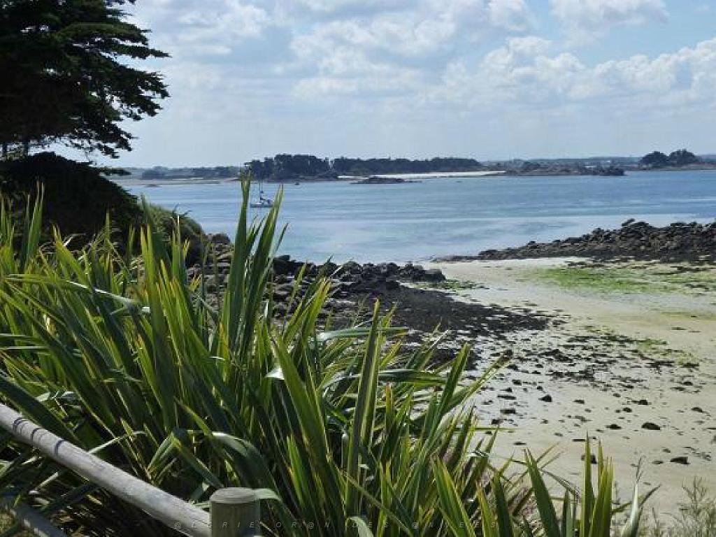 129 Ile de Batz_000050.jpg